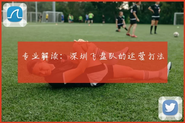 专业解读：深圳飞盘队的运营打法