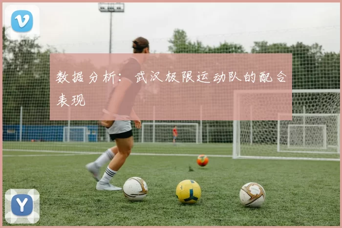 数据分析：武汉极限运动队的配合表现