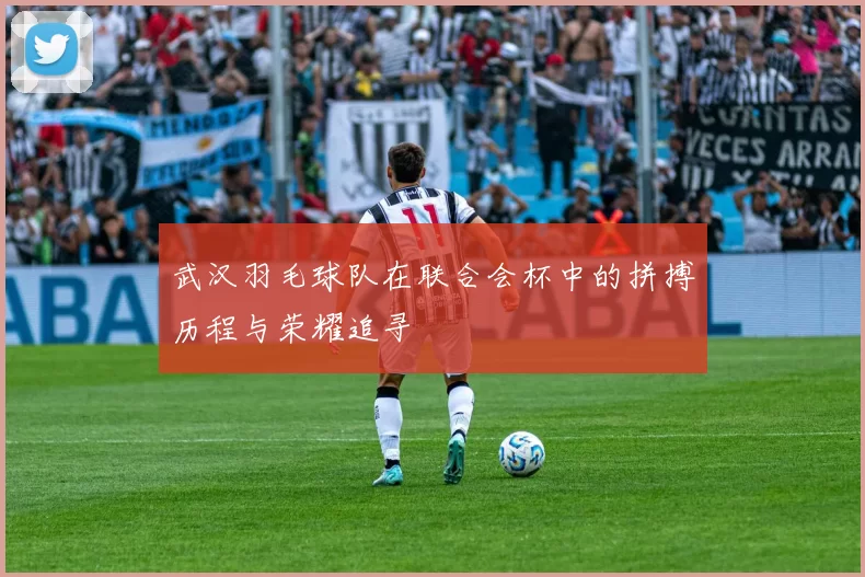 武汉羽毛球队在联合会杯中的拼搏历程与荣耀追寻