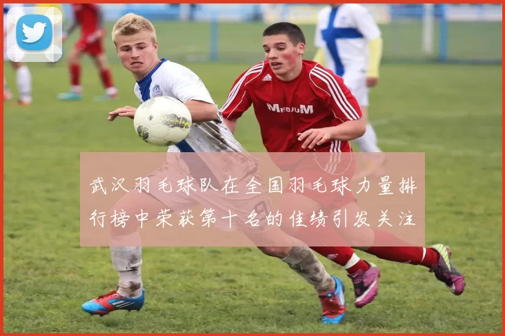 武汉羽毛球队在全国羽毛球力量排行榜中荣获第十名的佳绩引发关注