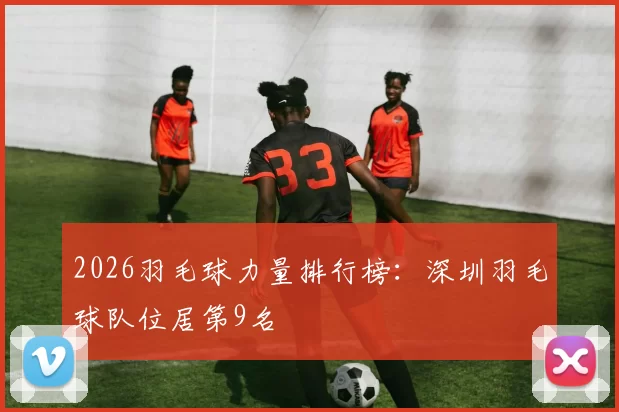 2026羽毛球力量排行榜：深圳羽毛球队位居第9名