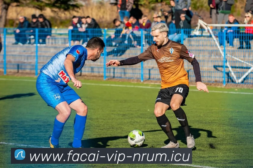 九游体育平台生态图