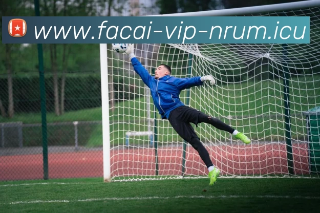 九游体育APP 封面图